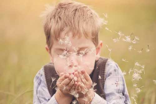 牛年男孩名字姓陆-生辰八字测名打分 牛年男孩名字姓陆-生辰八字测名打分