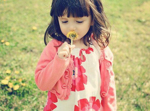 属狗女孩名字姓贺-名字免费打分